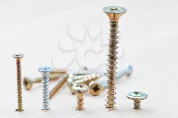 different screws wrapped in wooden board and heap of spare screws