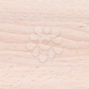 beech wooden furniture panel close up background