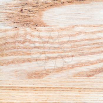 wood patterns of fresh sanded and oiled ashwood board close up