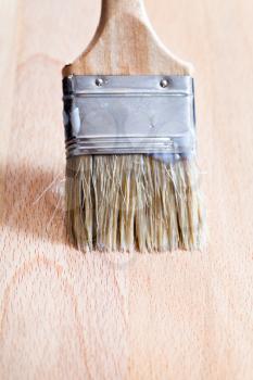 lacquering of beach wooden surface by paint brush