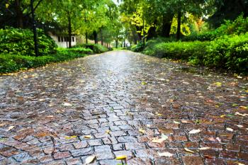 wet cobble stone path in parco dell arena, Padua in autumn day