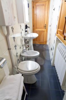 modern interior of narrow toilet room in old italian home