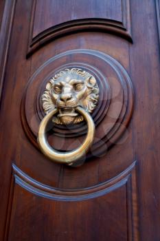 lion head shaped door doorknob in expensive urban door