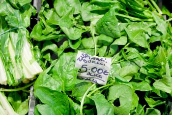 fresh green italian spinach leaves at street market in Bologna, Italy