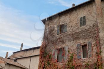 old wall house wall covered with autumn ivy in Parma, Italy