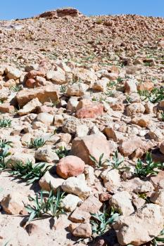 stone ruins in desert valley in Petra, Jordan