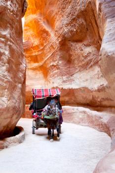 bedouin carriage in Siq passage to Petra city, Jordan