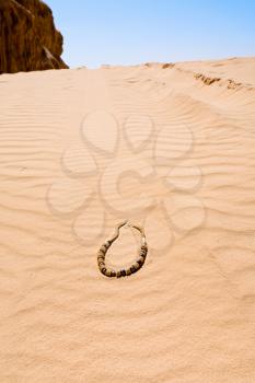 Bedouin beads on yellow sand dune of Wadi Rum desert, Jordan