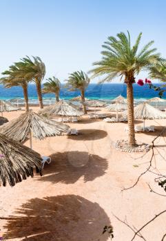 coral bay beach in Aqaba, Jordan