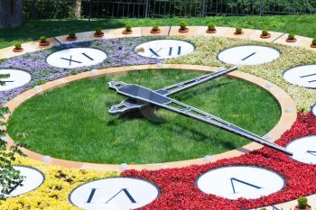 clock from flowers in urban park