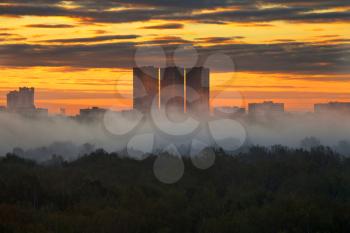yellow sunrise and morning fog in autumn city