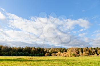 blue sky and white clouds above green lawn in autumn forest