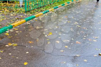 urban road with yellow falled leaves in rain autumn day