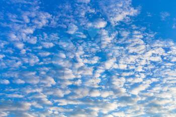 many white cumulus cloudsin blue sky at dawn