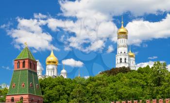 towers and Cathedrals of Moscow Kremlin in summer day