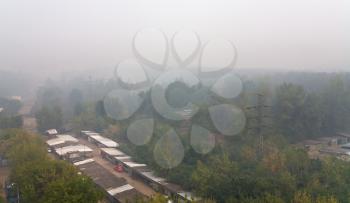 strong smog under city park in summer day
