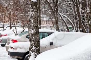 cars covered with snow on parking in Moscow, Russia