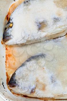 two dorada fish baked in salt