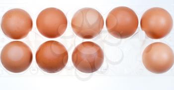 eleven brown chicken eggs in holder