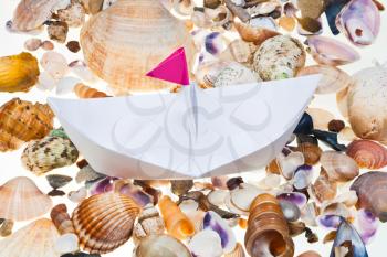 white paper boat on background from sea shells