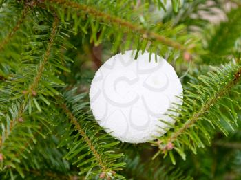 white plastic ball on Christmas tree outdoor