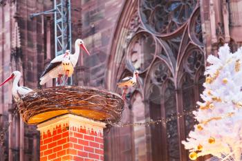 stork nest near cathedral in christmas town