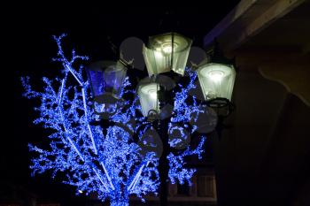 urban outdoor electric lantern and blue illuminated tree at night