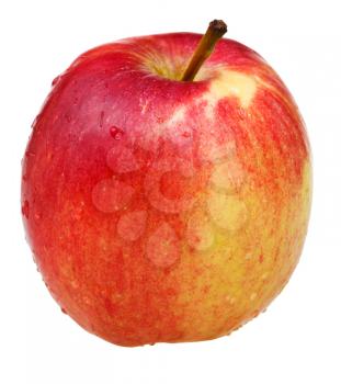 red wealthy apple isoalted on white background