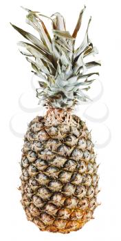 one ripe pineapple isolated on white background