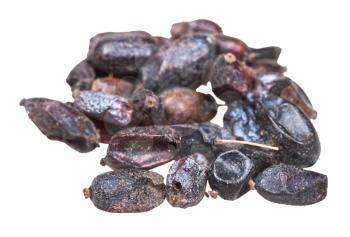 handful of dried black berberis (Berberis sphaerocarpa) fruits close up isolated on white background