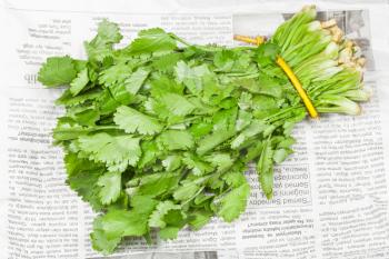 fresh coriander leaves in bunch on old newspaper