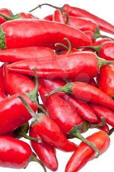pods of fresh red chili peppers close up isolated on white background