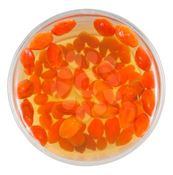preparing of goji berry tincture - top view of glass with goji berries infusion isolated on white background
