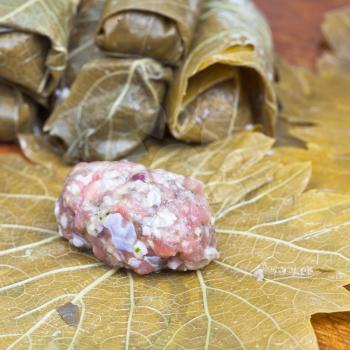 preparing of Caucasus meal - dolma from pickled vine leaves and mince and rice close up
