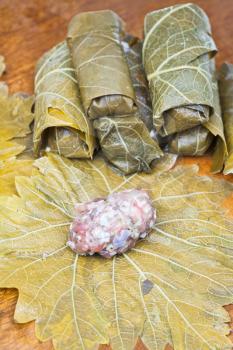 preparation of Caucasus meal - dolma from pickled grape leaves and mince and rice close up