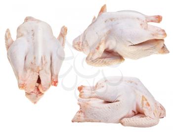 set of raw plucked soup chickens isolated on white background