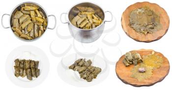 cooking of meal dolma from pickled grape leaves and mince with rice isolated on white background