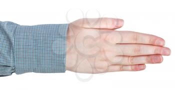 five straight fingers hand gesture isolated on white background
