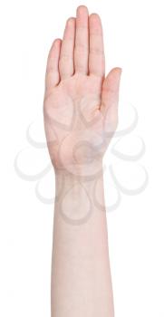 open five fingers together hand gesture isolated on white background