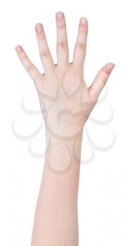 five fingers hand gesture isolated on white background