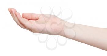 hollow palm - hand gesture isolated on white background