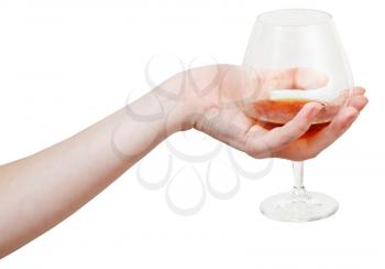 hand holds glass goblet with cognac isolated on white background