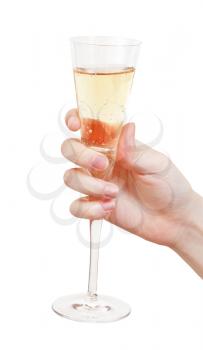 hand holds glass goblet with champagne isolated on white background