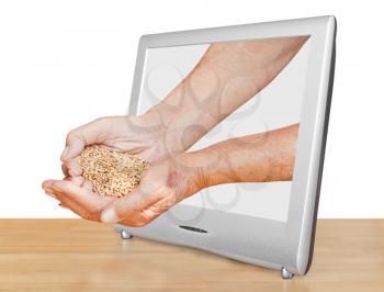 farmer hands holding handful of grains leads out TV screen isolated on white background