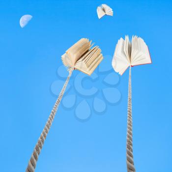 flying book and two books tied on ropes soars into blue sky