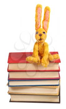 felt soft toy rabbit sits on stack of books isolated on white background