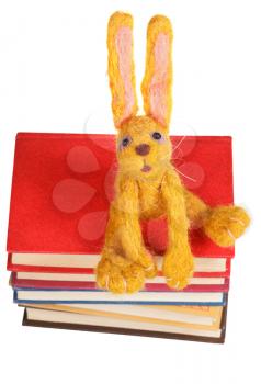 top view of felt soft toy rabbit on stack of books isolated on white background