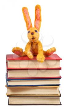 felt soft toy rabbit sits on old books isolated on white background