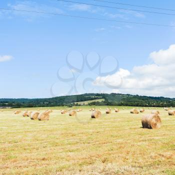 harvested field with haystack rolls in Normandy, France