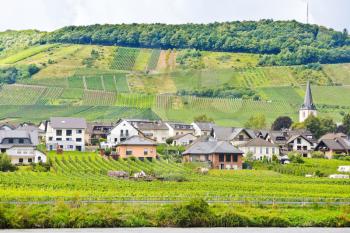 vineyards on hills and Ellenz Poltersdorf village on Moselle riverbank, Germany